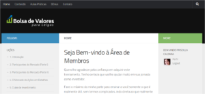 bolsa de valores para leigos