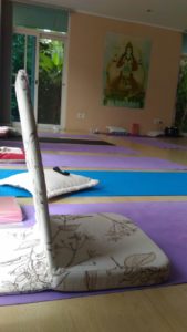 hapiness-program-floripa